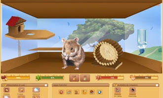 HamsterStory - Dein neues nagetier